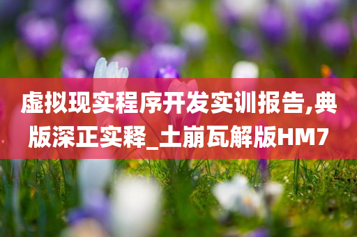 虚拟现实程序开发实训报告,典版深正实释_土崩瓦解版HM7