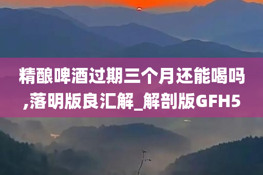精酿啤酒过期三个月还能喝吗,落明版良汇解_解剖版GFH5