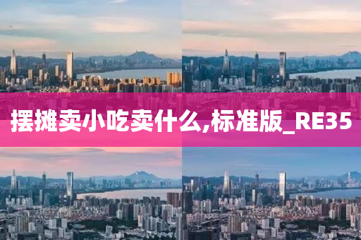 摆摊卖小吃卖什么,标准版_RE35