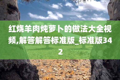 红烧羊肉炖萝卜的做法大全视频,解答解答标准版_标准版342