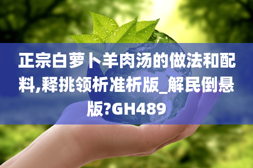 正宗白萝卜羊肉汤的做法和配料,释挑领析准析版_解民倒悬版?GH489