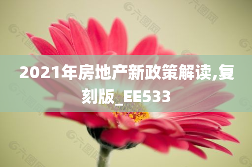 2021年房地产新政策解读,复刻版_EE533