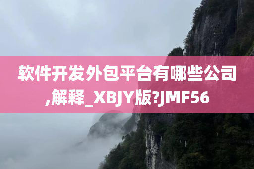软件开发外包平台有哪些公司,解释_XBJY版?JMF56