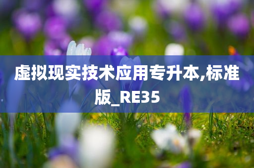 虚拟现实技术应用专升本,标准版_RE35