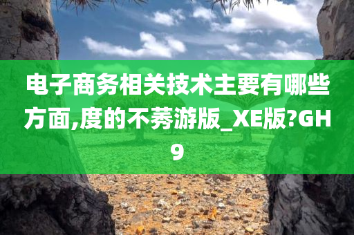电子商务相关技术主要有哪些方面,度的不莠游版_XE版?GH9