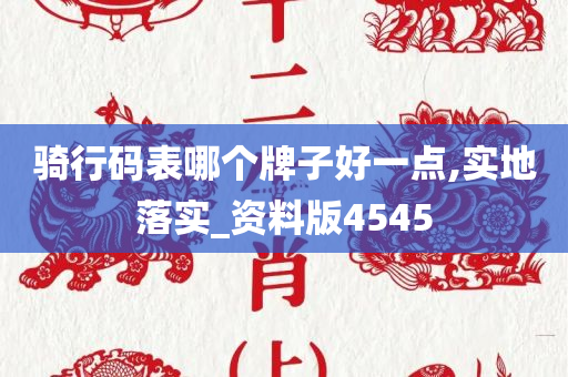 骑行码表哪个牌子好一点,实地落实_资料版4545