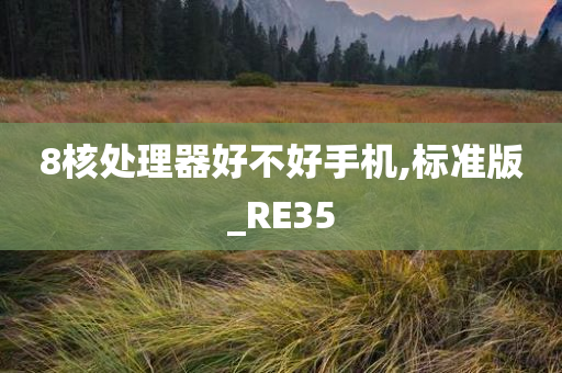 8核处理器好不好手机,标准版_RE35今晚必出三肖2025_2025新澳门精准免费提供·精确判断