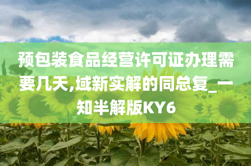预包装食品经营许可证办理需要几天,域新实解的同总复_一知半解版KY6