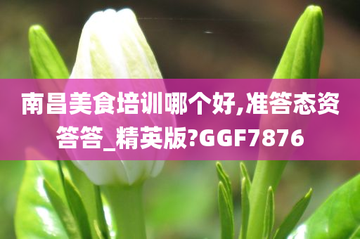 南昌美食培训哪个好,准答态资答答_精英版?GGF7876