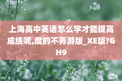 上海高中英语怎么学才能提高成绩呢,度的不莠游版_XE版?GH9