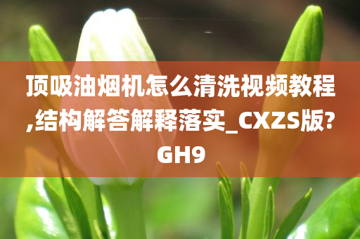 顶吸油烟机怎么清洗视频教程,结构解答解释落实_CXZS版?GH9