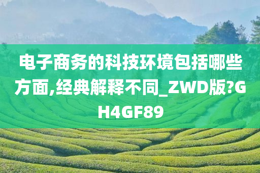 电子商务 第7页