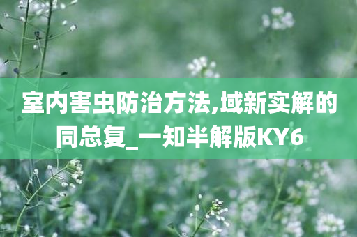 室内害虫防治方法,域新实解的同总复_一知半解版KY6