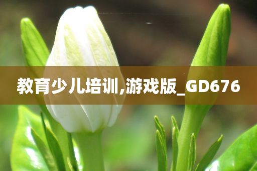 教育少儿培训,游戏版_GD676