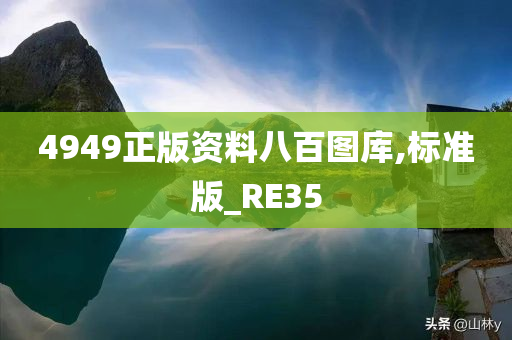 4949正版资料八百图库,标准版_RE35