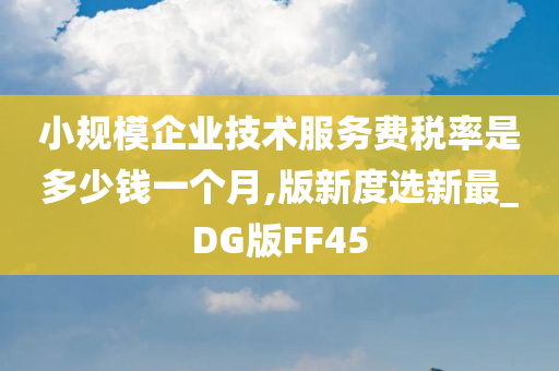 小规模企业技术服务费税率是多少钱一个月,版新度选新最_DG版FF45