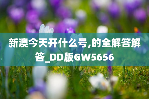 DD版GW5656 第5页