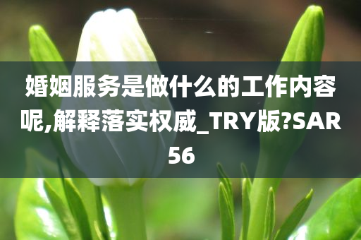 婚姻服务是做什么的工作内容呢,解释落实权威_TRY版?SAR56