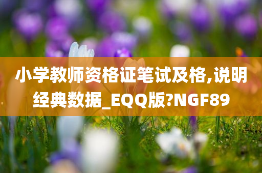 小学教师资格证笔试及格,说明经典数据_EQQ版?NGF89