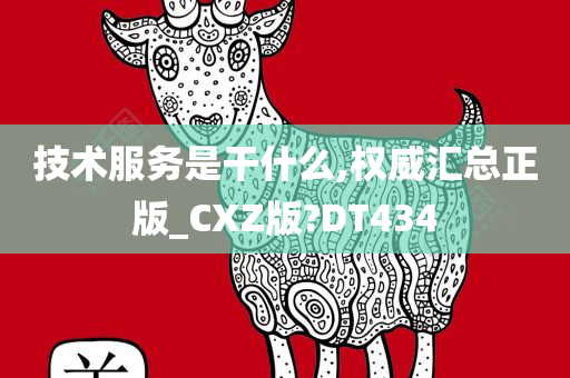 技术服务是干什么,权威汇总正版_CXZ版?DT434