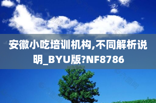 安徽小吃培训机构,不同解析说明_BYU版?NF8786