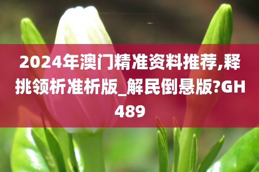 2024年澳门精准资料推荐,释挑领析准析版_解民倒悬版?GH489