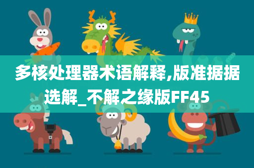 多核处理器术语解释,版准据据选解_不解之缘版FF45