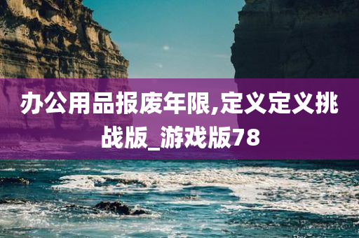 办公用品报废年限,定义定义挑战版_游戏版78