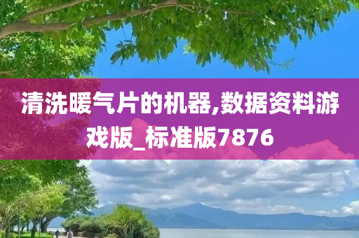 清洗暖气片的机器,数据资料游戏版_标准版7876