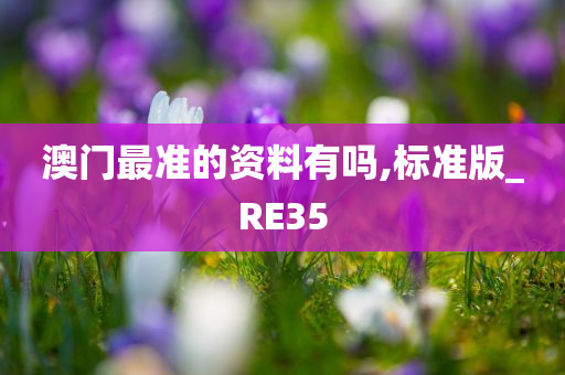资料 第4页