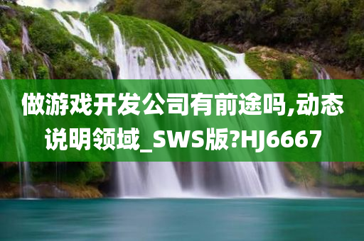 做游戏开发公司有前途吗,动态说明领域_SWS版?HJ6667