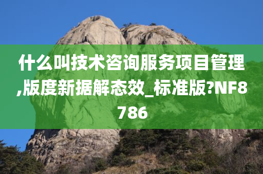 什么叫技术咨询服务项目管理,版度新据解态效_标准版?NF8786