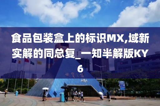 食品包装盒上的标识MX,域新实解的同总复_一知半解版KY6