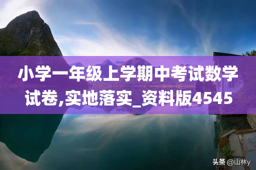 小学一年级上学期中考试数学试卷,实地落实_资料版4545