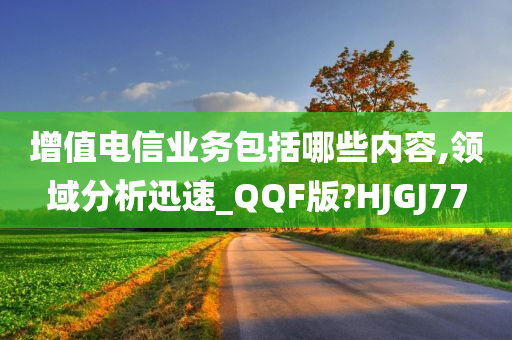 增值电信业务包括哪些内容,领域分析迅速_QQF版?HJGJ77