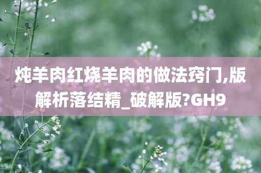 红烧羊肉 第2页