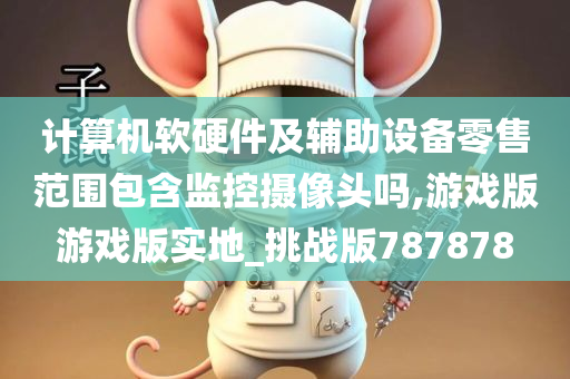 计算机软硬件及辅助设备零售范围包含监控摄像头吗,游戏版游戏版实地_挑战版787878