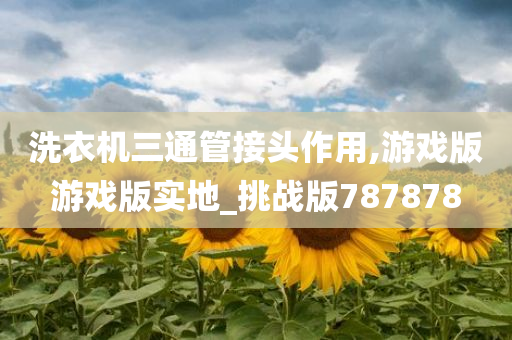 洗衣机三通管接头作用,游戏版游戏版实地_挑战版787878