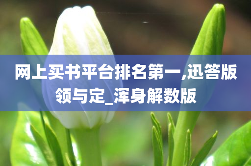 网上买书平台排名第一,迅答版领与定_浑身解数版