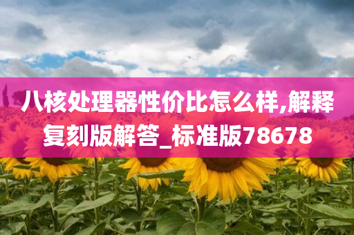八核处理器性价比怎么样,解释复刻版解答_标准版78678