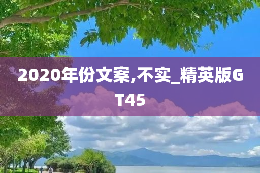 2020年份文案,不实_精英版GT45