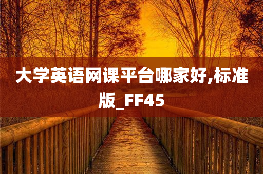 大学英语网课平台哪家好,标准版_FF45