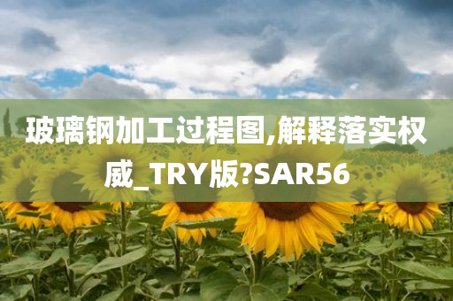 SAR56 第8页