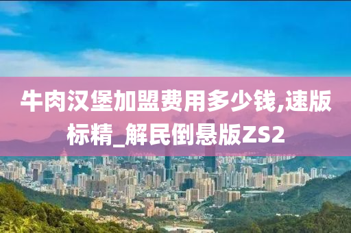 牛肉汉堡加盟费用多少钱,速版标精_解民倒悬版ZS2