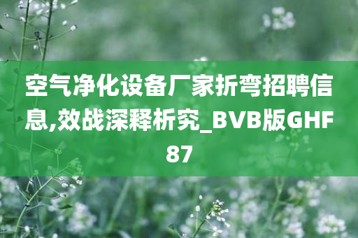 空气净化设备厂家折弯招聘信息,效战深释析究_BVB版GHF87今晚必出三肖2025_2025新澳门精准免费提供·精确判断