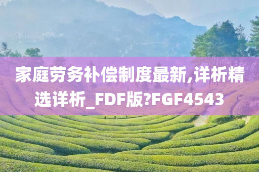家庭劳务补偿