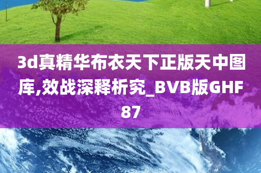 3d真精华布衣天下正版天中图库,效战深释析究_BVB版GHF87