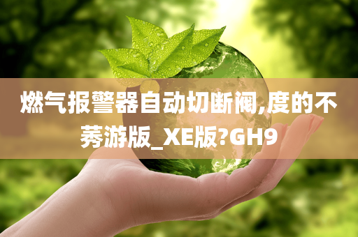 燃气报警器自动切断阀,度的不莠游版_XE版?GH9