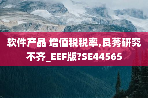 软件产品 增值税税率,良莠研究不齐_EEF版?SE44565