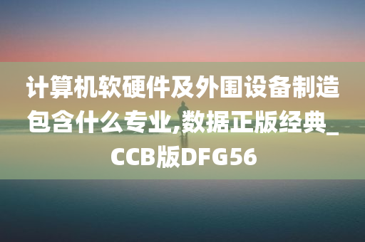 计算机软硬件及外围设备制造包含什么专业,数据正版经典_CCB版DFG56